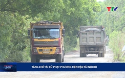 Bản tin An toàn giao thông 24h ngày 29/8/2025