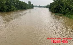 Phát lệnh báo động I trên sông Yên tại trạm Thuỷ văn Chuối