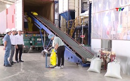 Gạo Việt Nam giữ lợi thế ở phân khúc cao cấp
