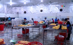 Xuất khẩu nông, lâm, thủy sản 7 tháng đạt gần 40 tỷ USD 