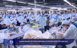 Bản tin Tài chính - Thị trường 8/8/2025