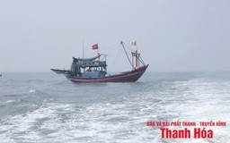 Ứng phó với áp thấp nhiệt đới trên biển Đông