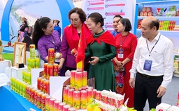 Ấn tượng không gian trưng bày "Thanh Hoá - Khát vọng thịnh vượng"