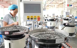 8 tháng, xuất khẩu hàng hóa đạt gần 4,7 tỷ USD