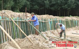 Công bố tình huống khẩn cấp sạt lở công trình kè bờ biển xã Hoằng Tiến
