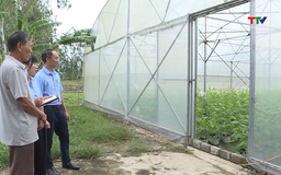 Hiệu quả vay vốn phát triển nông nghiệp
