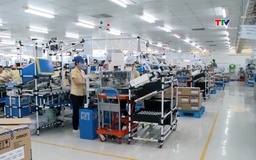 Kinh tế Việt Nam tăng trưởng cao 