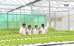 Nông nghiệp công nghệ cao mang lại doanh thu 11 tỷ đồng mỗi năm