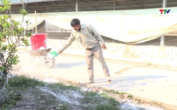 Vệ sinh, khử trùng tiêu độc, phòng chống dịch bệnh cho gia súc, gia cầm