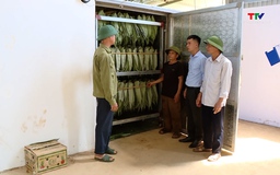 Lá mai xuất khẩu - hướng đi mới trong phát triển kinh tế ở xã Vân Du
