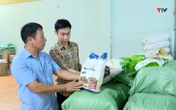 Tăng cường các giải pháp thúc đẩy sản xuất, xuất khẩu và ổn định thị trường gạo