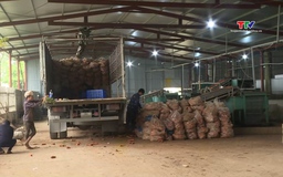 Thanh Hóa hiện có 1620 doanh nghiệp nông nghiệp