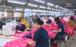 Doanh nghiệp Thanh Hóa chủ động đa dạng thị trường xuất khẩu