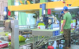 Tối ưu hóa năng suất lao động nhờ ứng dụng công nghệ, chuyển đổi số