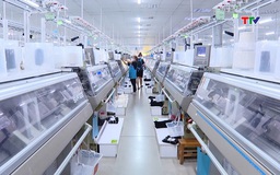Tập trung thực hiện chỉ tiêu thu ngân sách nhà nước
