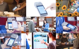Kế hoạch triển khai thi hành Luật Công nghiệp công nghệ số 
