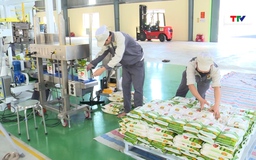 Phát triển thị trường tiêu thụ gạo