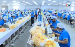 Tập trung thực hiện mục tiêu phát triển doanh nghiệp 2025