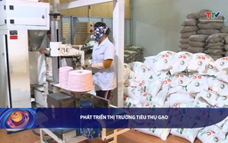 Bản tin Tài chính thị trường ngày 17/9/2025