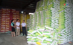 Sản lượng phân bón tăng 16,7% so với cùng kỳ