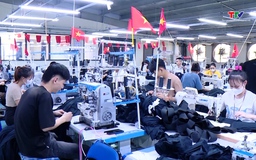 Xuất nhập khẩu lập kỷ lục mới, thặng dư thương mại vững chắc