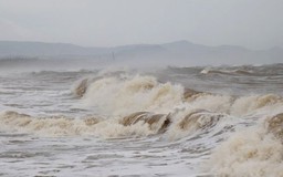 Chủ động ứng phó với bão RAGASA
