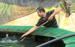 Gói vay nông, lâm, thủy sản cán mốc 94% 