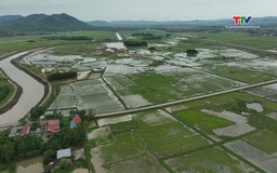 Thanh Hóa dừng đầu tư dự án giao thông Đông Xuân - Đông Tiến