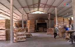Phê duyệt Đề án xây dựng Cơ sở dữ liệu doanh nghiệp toàn quốc