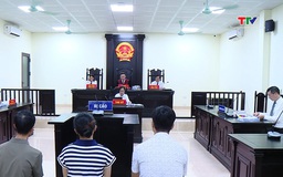 Xét xử các đối tượng sản xuất, buôn bán đệm giả nhãn hiệu EVERON