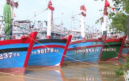 Thanh Hóa: Hơn 6.400 phương tiện tàu thuyền đã vào nơi neo đậu an toàn