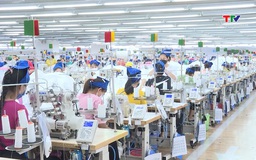 Đẩy mạnh sản xuất kinh doanh đảm bảo việc làm cho người lao động