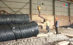 EU áp thuế chống bán phá giá thép cán nóng Việt Nam