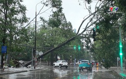 Mưa lớn, gió mạnh gây ngập sâu và gẫy đổ cây xanh tại nhiều khu vực phường Hạc Thành và các vùng lân cận