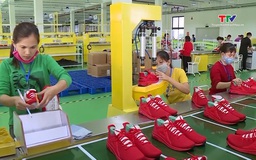 Tháng 8/2025 tỉnh Thanh Hoá tạo việc làm mới cho 6.100 lao động