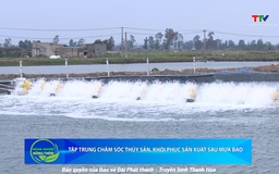 Bản tin Nông nghiệp Nông thôn ngày 3/9/2025