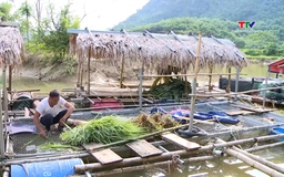 Tập trung chăm sóc thủy  sản sau mưa bão