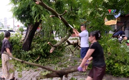 Khắc phục cây xanh gẫy đổ và công trình hư hỏng