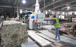 Tổng giá trị xuất nhập khẩu hàng hoá đạt hơn 637 tỷ USD