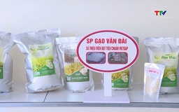 Xây dựng sản phẩm OCOP từ lúa gạo chất lượng cao