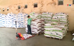 Dự kiến giảm thuế suất nhập khẩu ngô xuống 3%