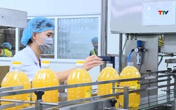 Phát triển ngành công nghiệp hỗ trợ 