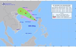 Công điện về việc ứng phó với áp thấp nhiệt đới trên biển Đông