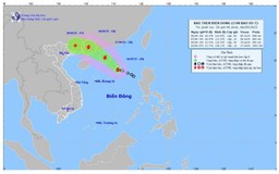 Từ Quảng Ninh đến Đắk Lắk chủ động ứng phó với bão số 7
