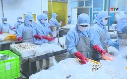 Xuất khẩu nông lâm thủy sản 8 tháng tăng 12%