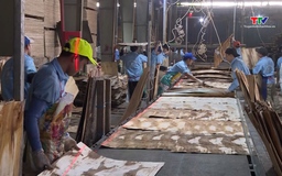 Đề xuất giảm biểu thuế thu nhập cá nhân 5 bậc, cao nhất 35%