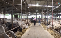 Gỡ khó giúp doanh nghiệp nhỏ và vừa tiếp cận nguồn vốn tín dụng