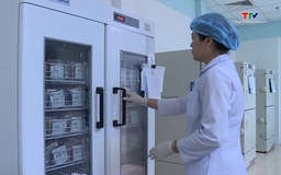 Thiếu 31.000 đơn vị máu cho hoạt động cấp cứu, điều trị dịp Tết Nguyên đán 2026