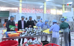 Nâng mức vay, phát huy hiệu quả tín dụng chính sách giải quyết việc làm