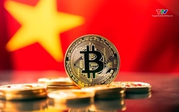 Yêu cầu cấp phép cho doanh nghiệp thí điểm thị trường tài sản mã hóa trước 15/1